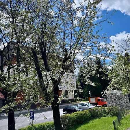 Lv Luxury Apart - One Minute Away From Train Station Predeal Eksteriør bilde